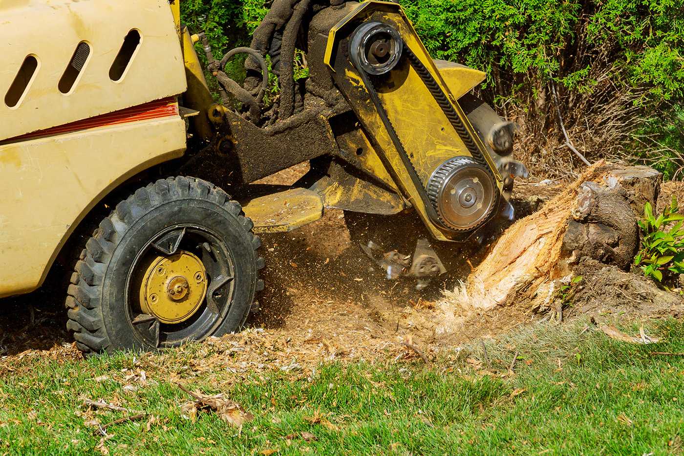 Stump Grinding