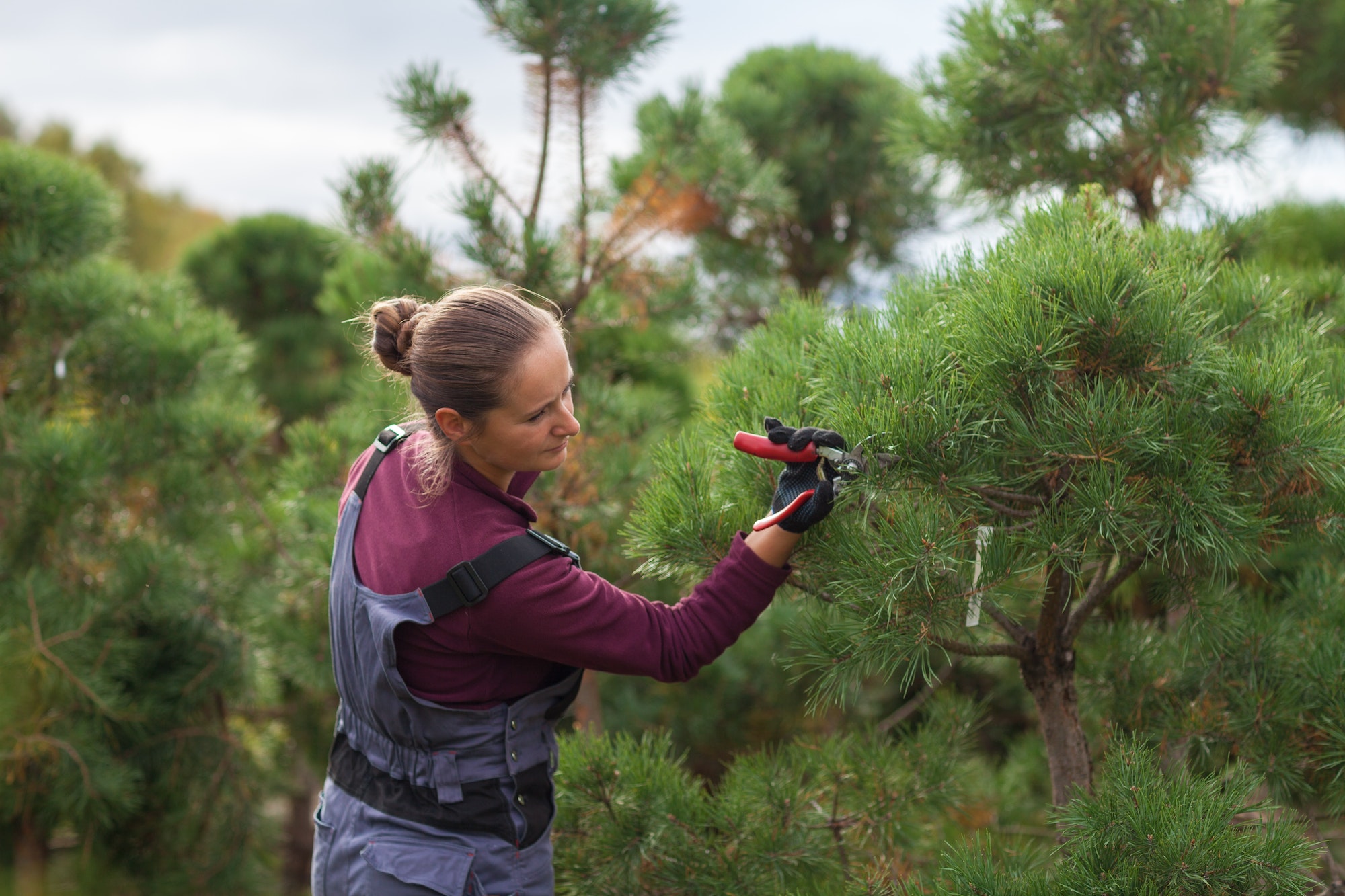 cute-caucasian-girl-cuts-branches-care-and-maintenance-of-the-garden-landscape-design.jpg